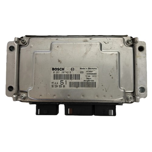 Citroex xsara ecu 0261207318 - xsara,